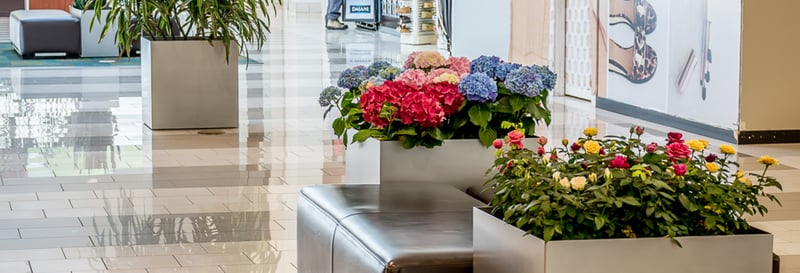 Southcentre Mall preview 2